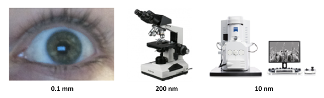 un ojo y microscopios